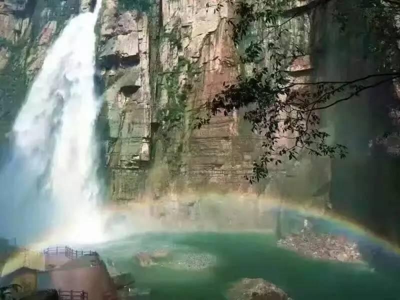 虫虫助手下载